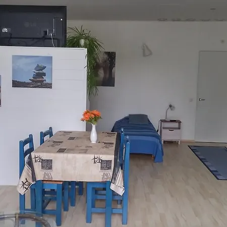 Sillanpaeaen Kartano Vendégház Veteli